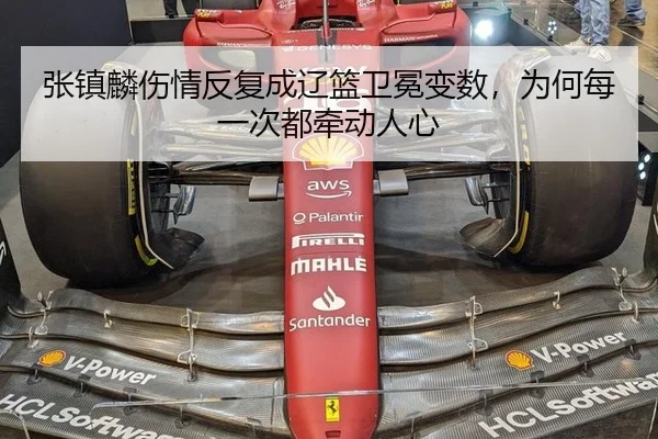 张镇麟伤情反复成辽篮卫冕变数，为何每一次都牵动人心